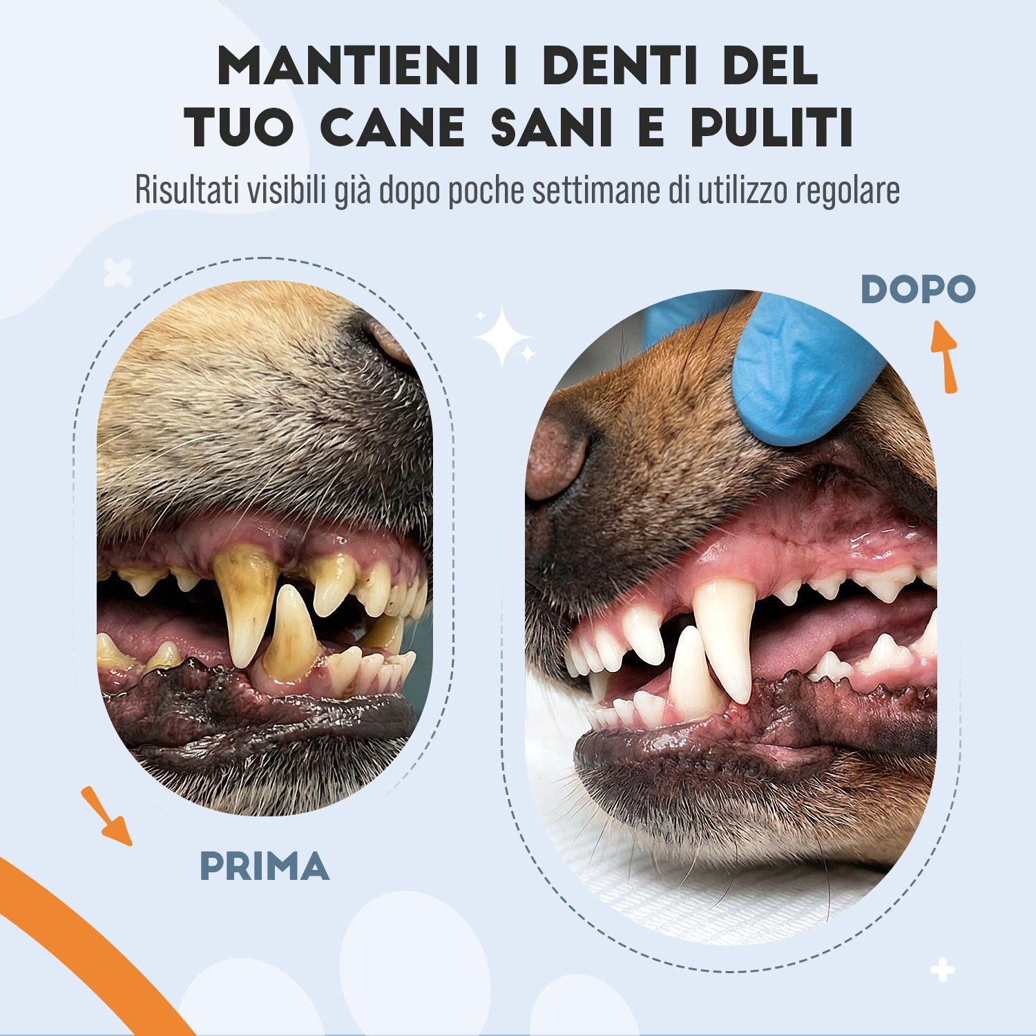 Igiene Orale Cane in Polvere — Per il Fisiologico Benessere del Cavo Orale, 150g