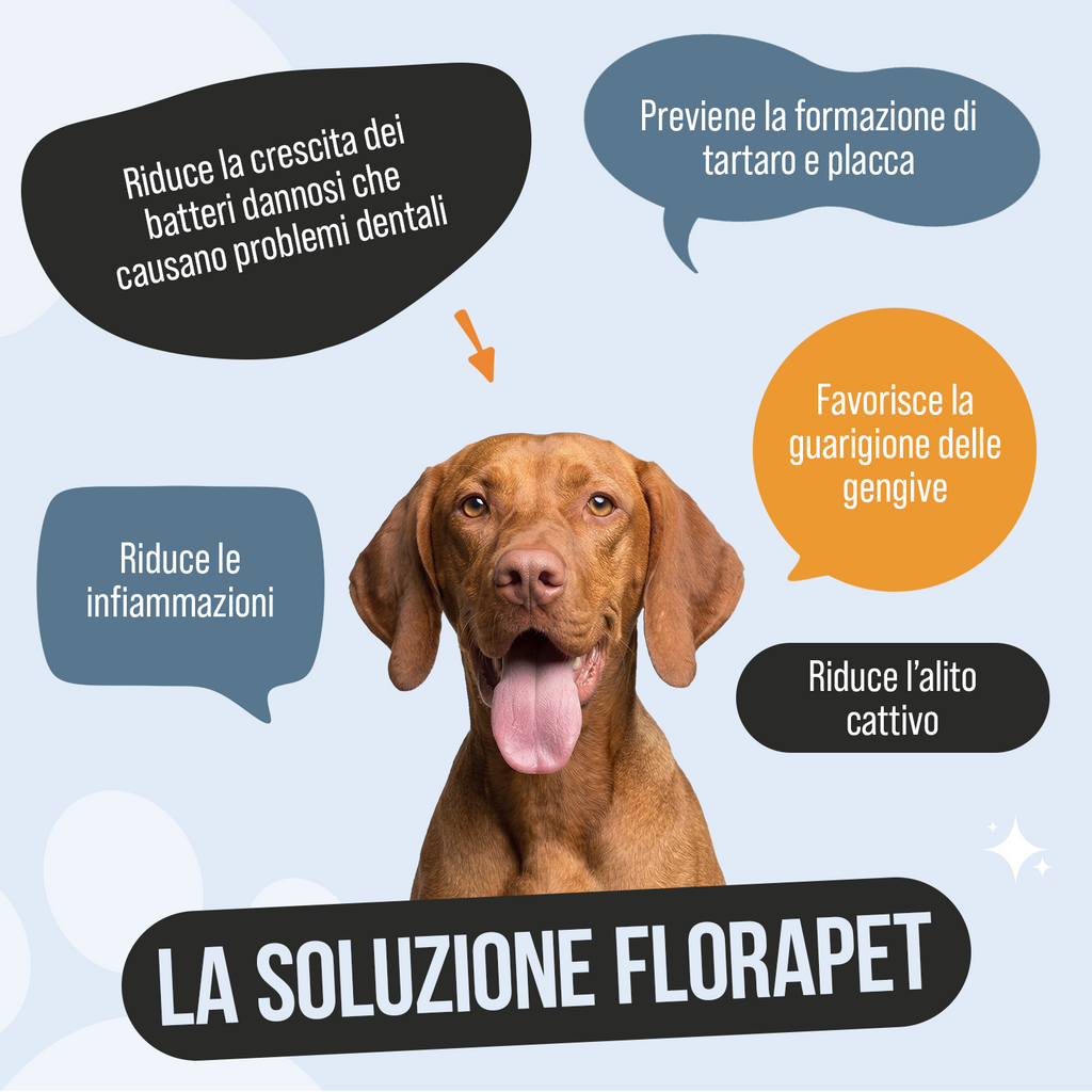 Dentifricio in Polvere per Cani — 150g