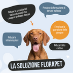 Dentifricio in Polvere per Cani — 150g