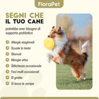 Probiotico per Cani — 60 Compresse