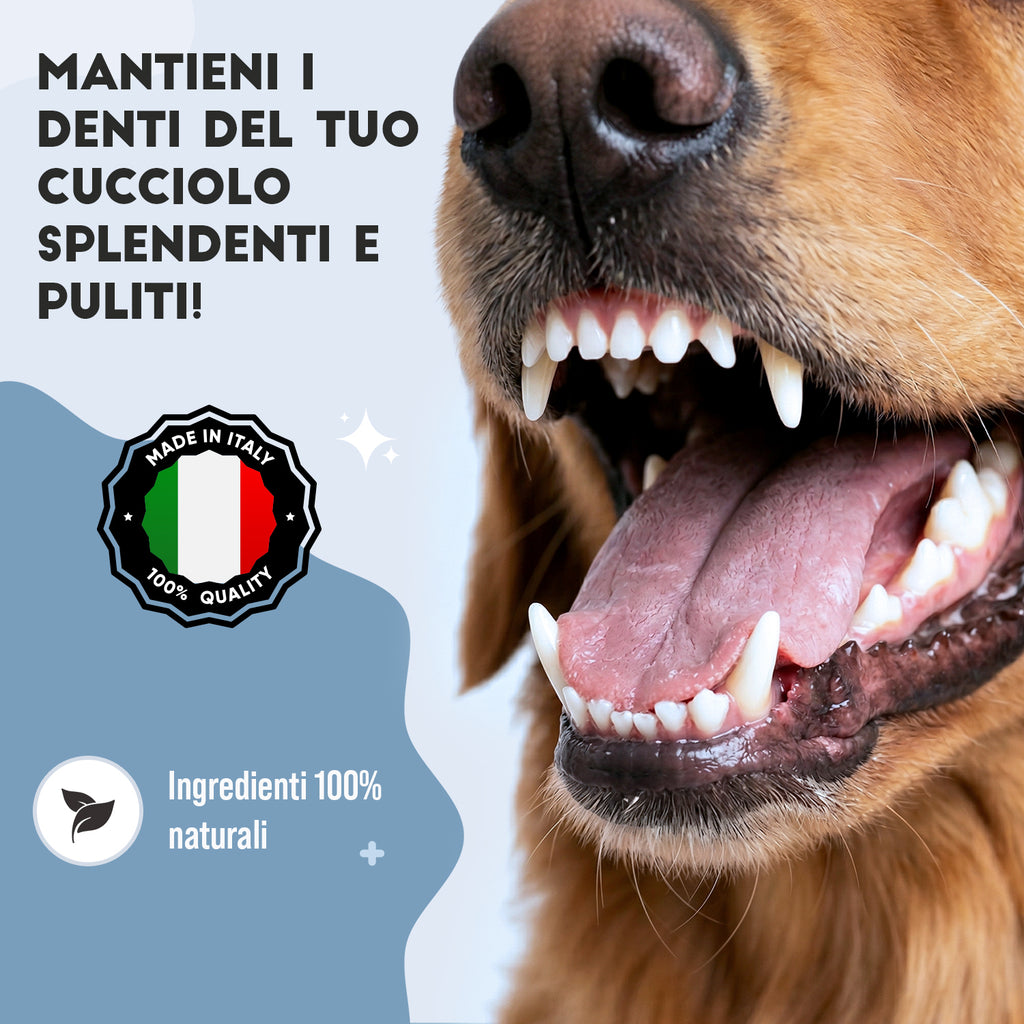 Dentifricio in Polvere per Cani — 150g