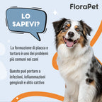 Dentifricio in Polvere per Cani — 150g