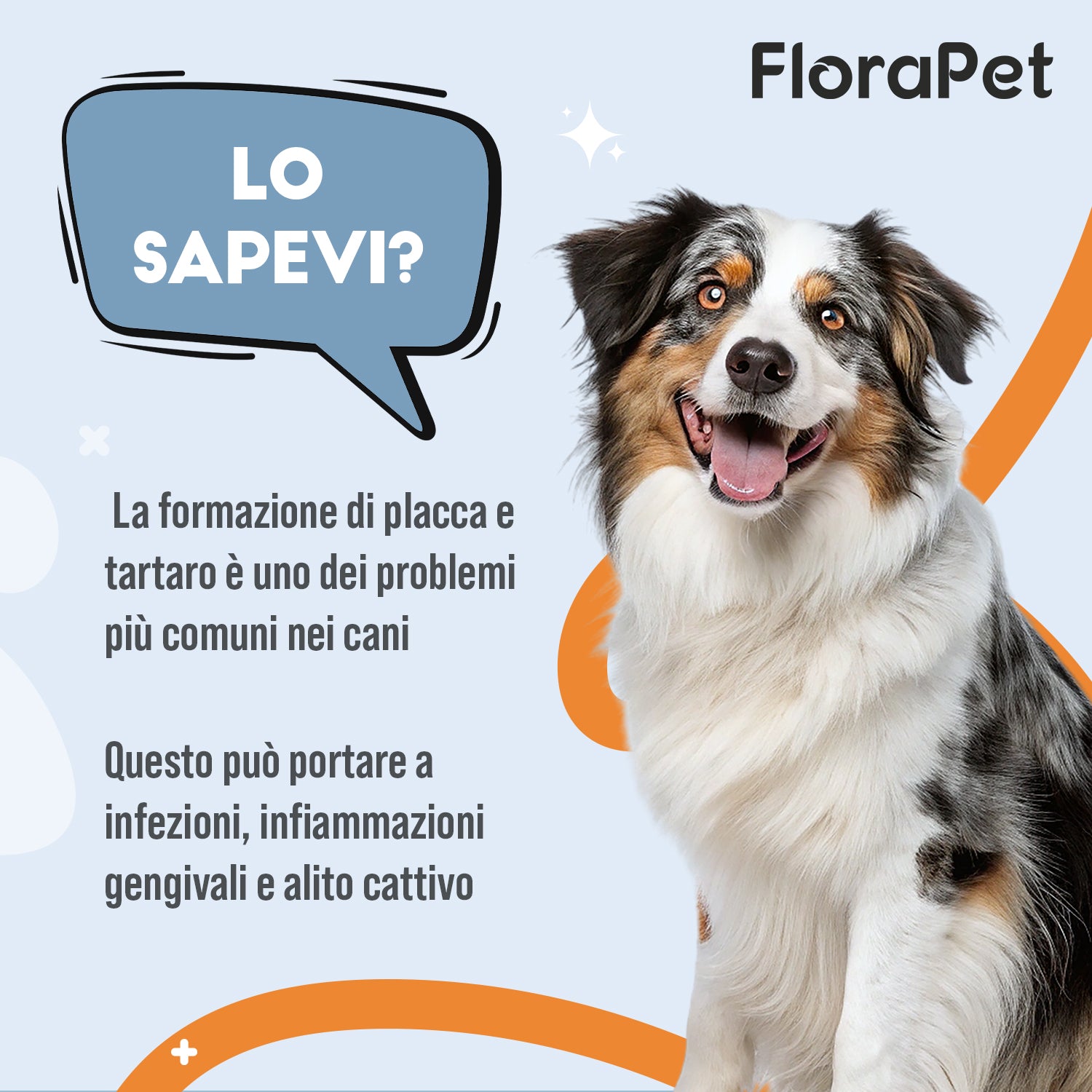 Igiene Orale Cane in Polvere — Per il Fisiologico Benessere del Cavo Orale, 150g
