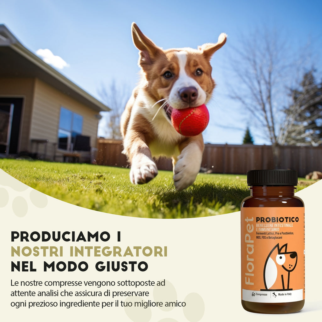 Probiotico per Cani — 60 Compresse