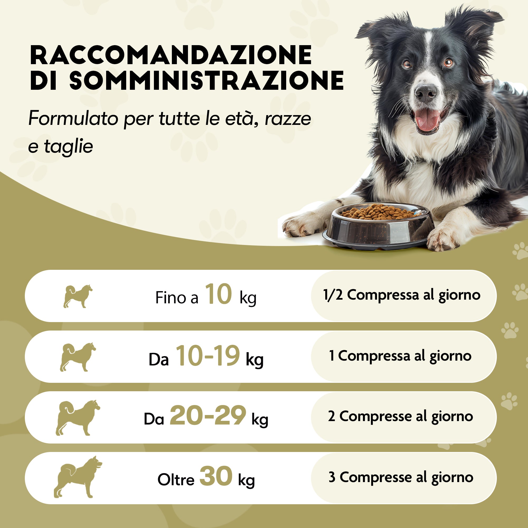 Probiotico per Cani — Supporto Flora Intestinale e Digestione, 60 Compresse