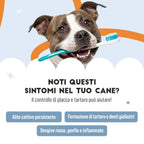 Dentifricio in Polvere per Cani — 150g