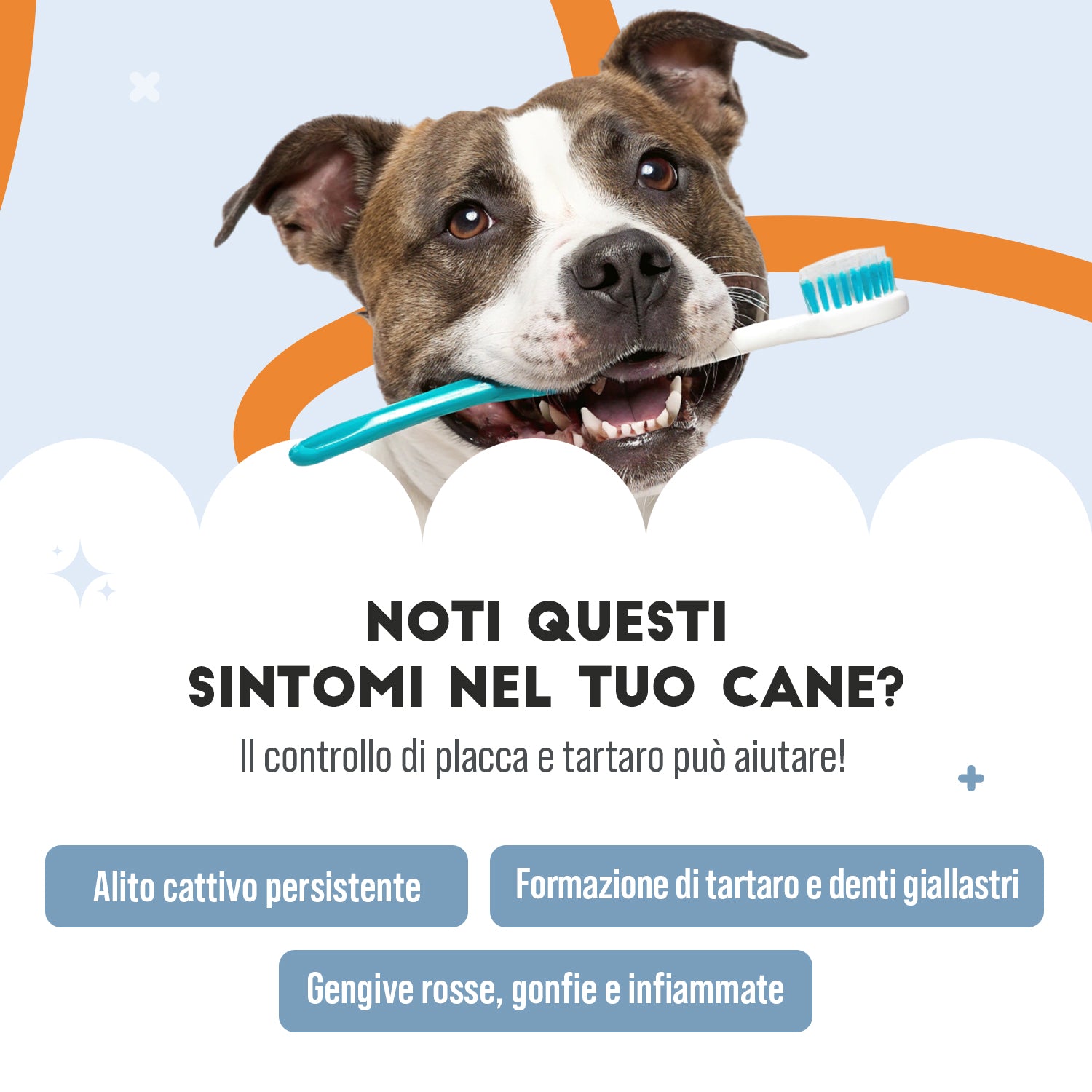 Dentifricio in Polvere per Cani — 150g