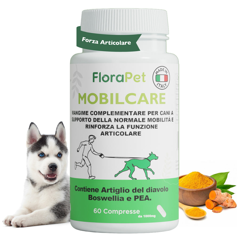 Florapet Mobilcare Integratore Articolazioni Cane 60 Compresse, con Boswellia, PEA, Avovida, CurcuVet, Artiglio del Diavolo, Supporta la Mobilità e Sollievo, Made in Italy