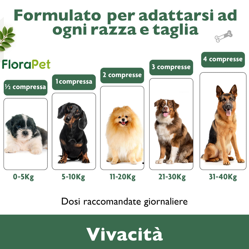 Florapet Mobilcare Integratore Articolazioni Cane 60 Compresse, con Boswellia, PEA, Avovida, CurcuVet, Artiglio del Diavolo, Supporta la Mobilità e Sollievo, Made in Italy