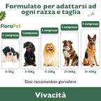 Florapet Mobilcare Integratore Articolazioni Cane 60 Compresse, con Boswellia, PEA, Avovida, CurcuVet, Artiglio del Diavolo, Supporta la Mobilità e Sollievo, Made in Italy
