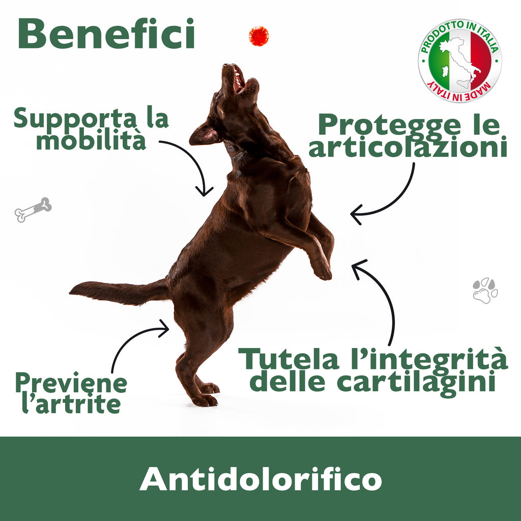 Florapet Mobilcare Integratore Articolazioni Cane 60 Compresse, con Boswellia, PEA, Avovida, CurcuVet, Artiglio del Diavolo, Supporta la Mobilità e Sollievo, Made in Italy