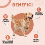 Mobilità Articolazioni Cane - 60 Compresse