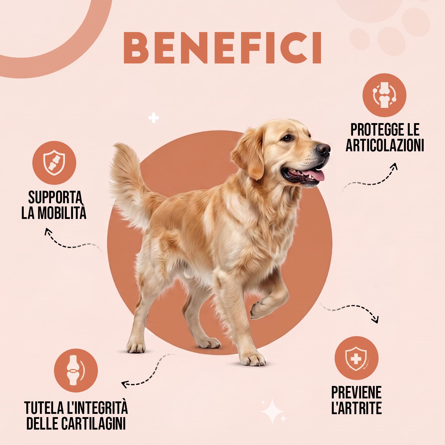 Mobilità Articolazioni Cane - 60 Compresse