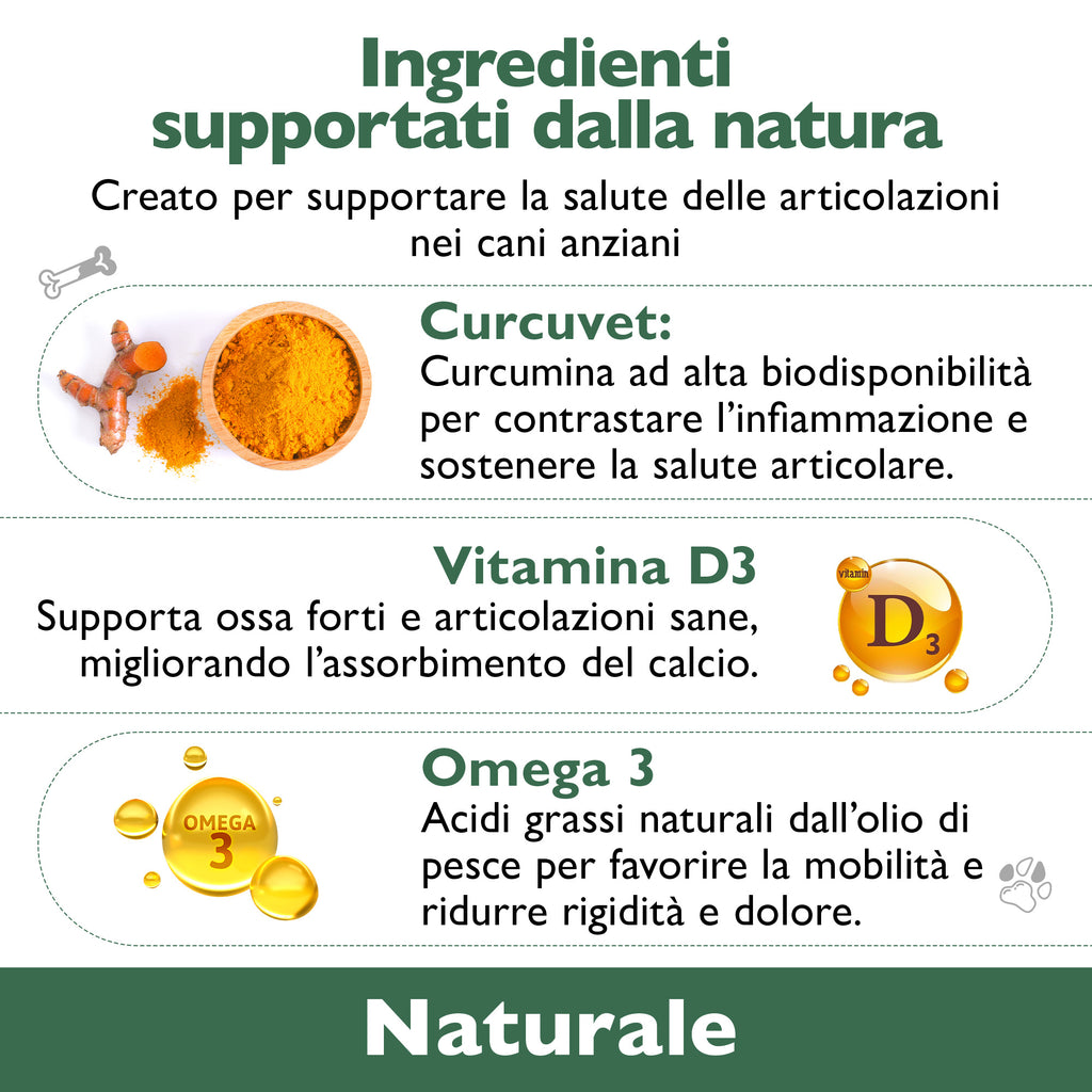 Florapet Mobilcare Integratore Articolazioni Cane 60 Compresse, con Boswellia, PEA, Avovida, CurcuVet, Artiglio del Diavolo, Supporta la Mobilità e Sollievo, Made in Italy