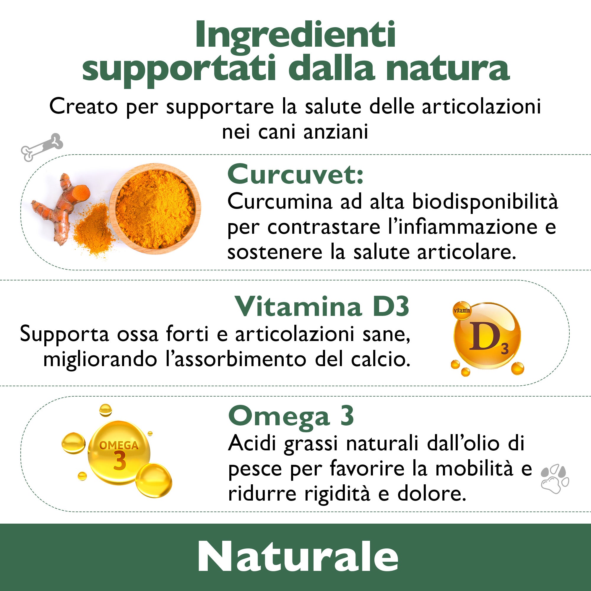 Florapet Mobilcare Integratore Articolazioni Cane 60 Compresse, con Boswellia, PEA, Avovida, CurcuVet, Artiglio del Diavolo, Supporta la Mobilità e Sollievo, Made in Italy