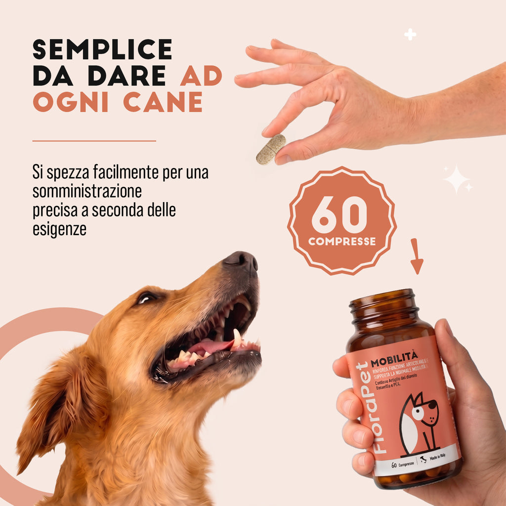 Mobilità Articolazioni Cane - 60 Compresse