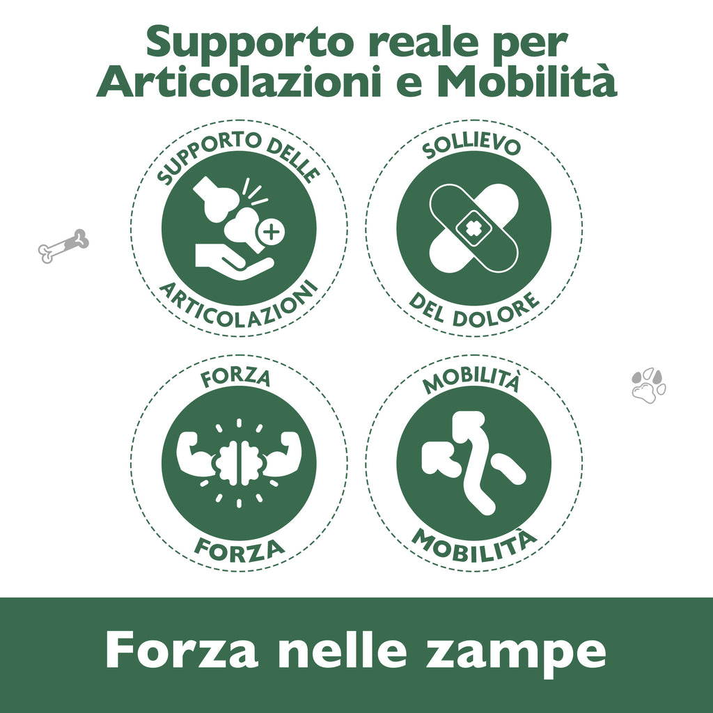 Florapet Mobilcare Integratore Articolazioni Cane 60 Compresse, con Boswellia, PEA, Avovida, CurcuVet, Artiglio del Diavolo, Supporta la Mobilità e Sollievo, Made in Italy