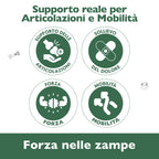 Florapet Mobilcare Integratore Articolazioni Cane 60 Compresse, con Boswellia, PEA, Avovida, CurcuVet, Artiglio del Diavolo, Supporta la Mobilità e Sollievo, Made in Italy