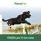 Florapet Mobilcare Integratore Articolazioni Cane 60 Compresse, con Boswellia, PEA, Avovida, CurcuVet, Artiglio del Diavolo, Supporta la Mobilità e Sollievo, Made in Italy