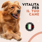 Mobilità Articolazioni Cane - 60 Compresse