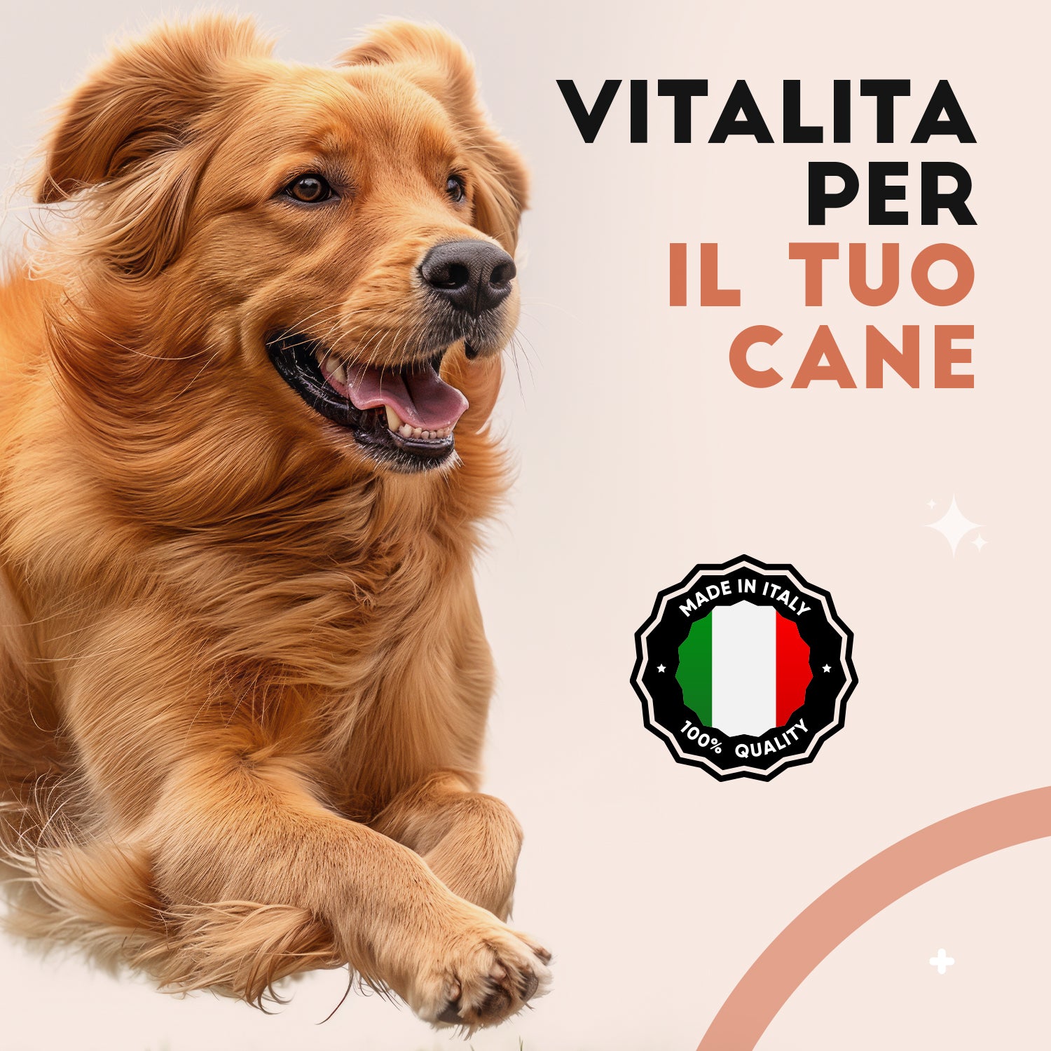 Mobilità Articolazioni Cane - 60 Compresse